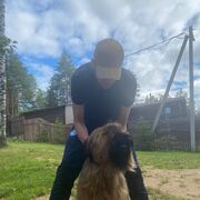 ���������� ������, ���� ������� ����, 28 ���, ������������ ��� ������, ����� � ���������