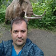  ,   , 38 ,   ,   
