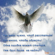 ���������� ������ ���, ���� ������� Gorilllla, 50 ���, ������������ 