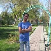  ,   Mir, 37 ,     , c 