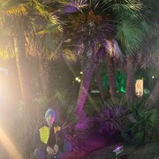 ���������� ����, ���� ������� ���������, 42 ����, ������������ ��� ������, ����� � ���������, c�������� ���������, ���������