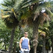  ,   Andrei, 36 ,  