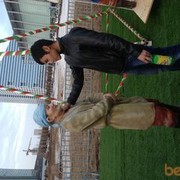 ���������� ������, ���� ������� Gold boy, 35 ���, ������������ ��� ������, ����� � ���������, c�������� ���������