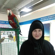   ,   , 42 ,   
