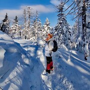 ���� ���������� ��� 2025