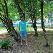 ���������� ���������� �����, ���� ������� �������, 32 ����, ������������ ��� c�������� ���������