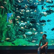  -,   FED, 30 ,   ,   