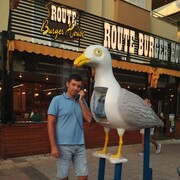  ,   , 40 ,   ,   , c 