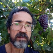  Oborniki Slaskie,  , 65
