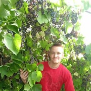  ,  Mikhail, 31