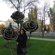 ���������� ���������, ���� ������� �����, 44 ����, ������������ ��� c�������� ���������