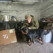 ���������� �����, ���� ������� ��������, 46 ���, ������������ ��� ������, ����� � ���������