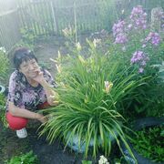 ���������� �����������, ���� ������� ������� ��, 63 ����, ������������ ��� ������, ����� � ���������