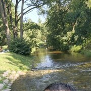  -,   No name, 35 ,   ,   