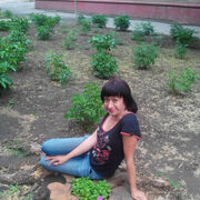 ���������� ���������, ���� ������� ����, 56 ���, ������������ ��� ������, ����� � ���������, c�������� ���������