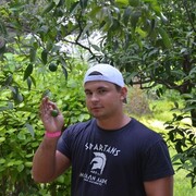 ���������� �����, ���� ������� ������, 40 ���, ������������ ��� ������, ����� � ���������