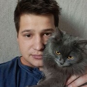   ,   , 29 ,   ,   , c , 
