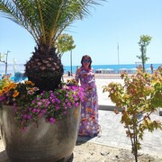 ���������� ������, ���� ������� ������, 48 ���, ������������ ��� ������, ����� � ���������, ���������