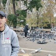  Korfez,  , 21