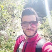 ���������� Lingenfeld, ������� ������, 31