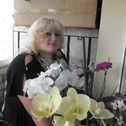  ,   , 48 ,  