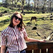 ���������� ������, �����