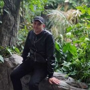 ���������� �������, ���� ������� ����, 37 ���, ������������ ��� ������, ����� � ���������, c�������� ���������, ���������