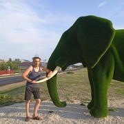 ,   , 47 ,   ,   , c , 
