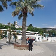 ���������� ����, ���� ������� Batyr, 40 ���, ������������ ��� ������, ����� � ���������