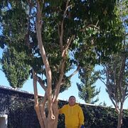 ���������� ������-��-����, ���� ������� ����, 39 ���, ������������ ��� c�������� ���������