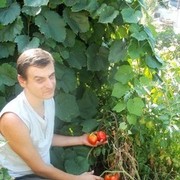 ���������� ��������������, ���� ������� �����, 53 ����, ������������ ��� ������, ����� � ���������, c�������� ���������