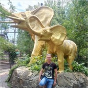  ,   , 43 ,   , 