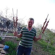  ,  , 38