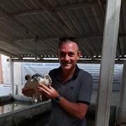 ���������� ������������, ���� ������� Alex, 44 ����, ������������ ��� ������, ����� � ���������, c�������� ���������