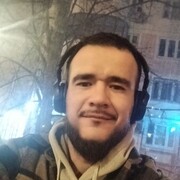 ���������� ������, ���� ������� Fayz, 31 ���, ������������ ��� ������, ����� � ���������, c�������� ���������, ���������