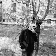 ���������� ���������, ���� ������� ����, 39 ���, ������������ ��� ������, ����� � ���������, c�������� ���������