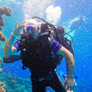 ���������� ������, ���� ������� Aram, 36 ���, ������������ ��� ������, ����� � ���������