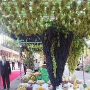 ���������� �������, ���� ������� ����, 31 ���, ������������ ��� ������, ����� � ���������, c�������� ���������