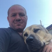 ,   , 46 ,   ,   , 