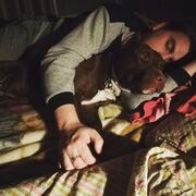 ���������� ������, ���� ������� ���������, 32 ����, ������������ ��� c�������� ���������