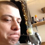 ���������� ����, ���� ������� Albert, 35 ���, ������������ ��� ������, ���������