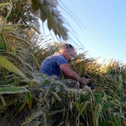 ���������� ��������, ���� ������� ������, 50 ���, ������������ 