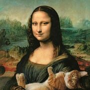 ���������� �������, Cleo