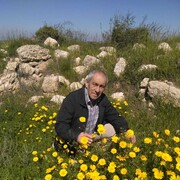  Tel Aviv-Yafo,   Boris, 75 ,   ,   , c 