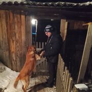 ���������� �����, ���� ������� ������, 42 ����, ������������ ��� ������, ����� � ���������, c�������� ���������, ���������