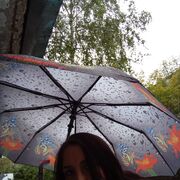 ���������� ������, ���� ������� ����, 37 ���, ������������ ��� ������, ����� � ���������