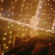 ���������� ����������, ���� ����� ˸��, 25 ���, ������������ ��� ������, ����� � ���������, c�������� ���������, ���������