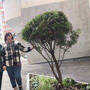 ���������� ������, ���� ������� MARUSYA, 34 ����, ������������ ��� ������, ���������