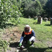 ���������� ������, ���� ������� ����, 36 ���, ������������ ��� ������, ����� � ���������, c�������� ���������