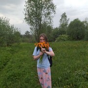  ,   , 28 ,   